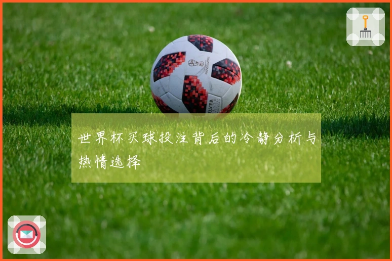 世界杯买球投注背后的冷静分析与热情选择