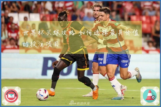 世界杯买球攻略 如何选择最具价值的投注项目