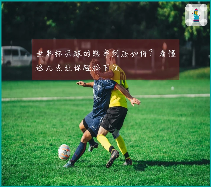 世界杯买球的赔率到底如何？看懂这几点让你轻松下注