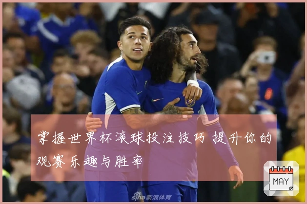 掌握世界杯滚球投注技巧 提升你的观赛乐趣与胜率