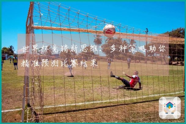 世界杯竞猜新思维：多种策略助你精准预测比赛结果