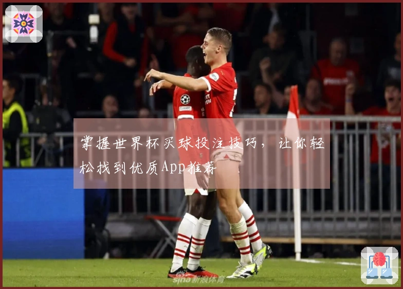 掌握世界杯买球投注技巧，让你轻松找到优质App推荐