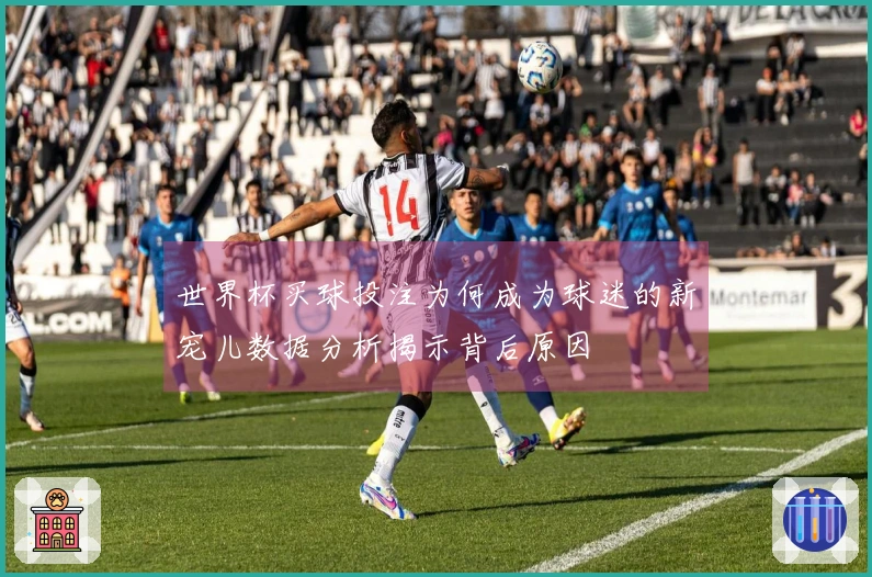 世界杯买球投注为何成为球迷的新宠儿数据分析揭示背后原因