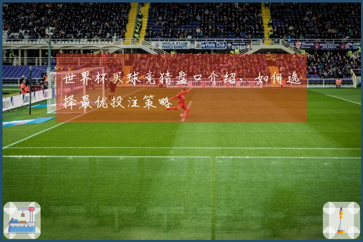 世界杯买球竞猜盘口介绍，如何选择最优投注策略