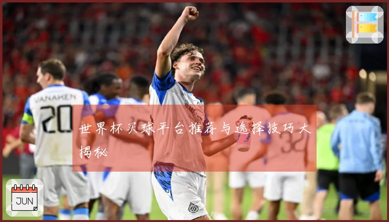 世界杯买球平台推荐与选择技巧大揭秘